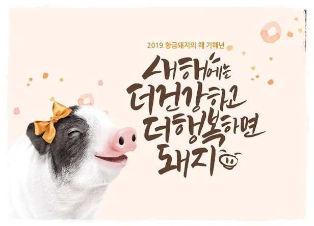 강건하게살자