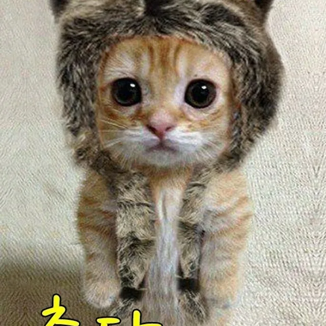 눈부처