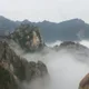 제인파파