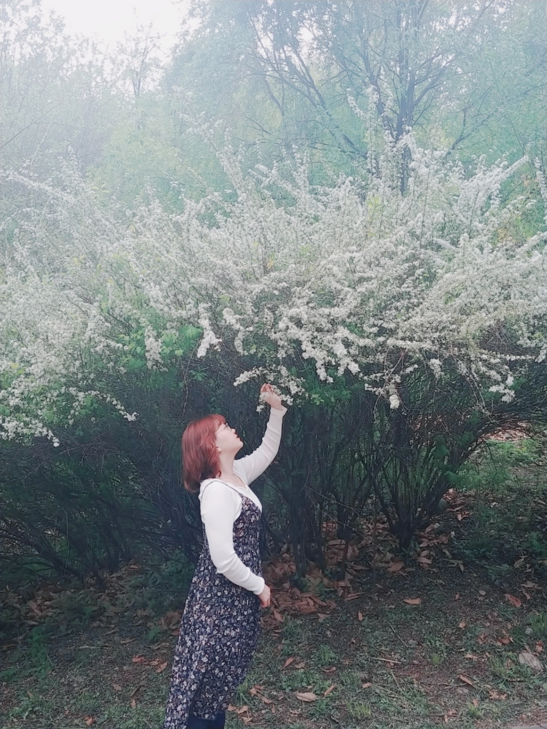 브로니