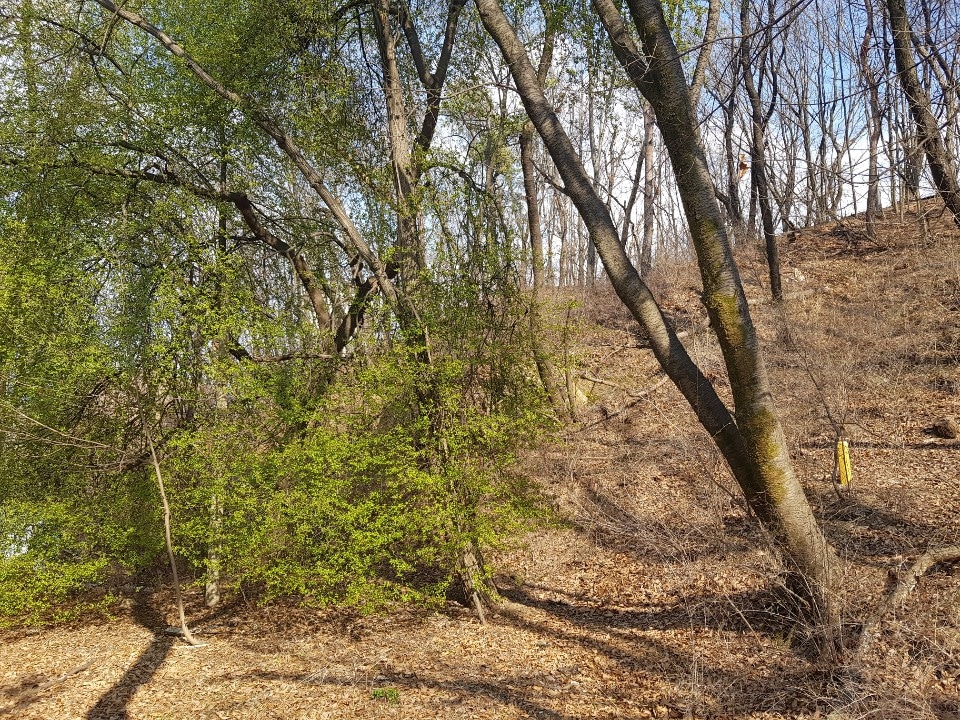 산과함께