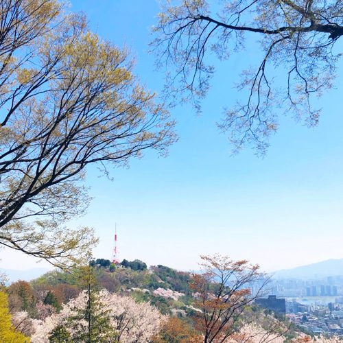 너의꽃