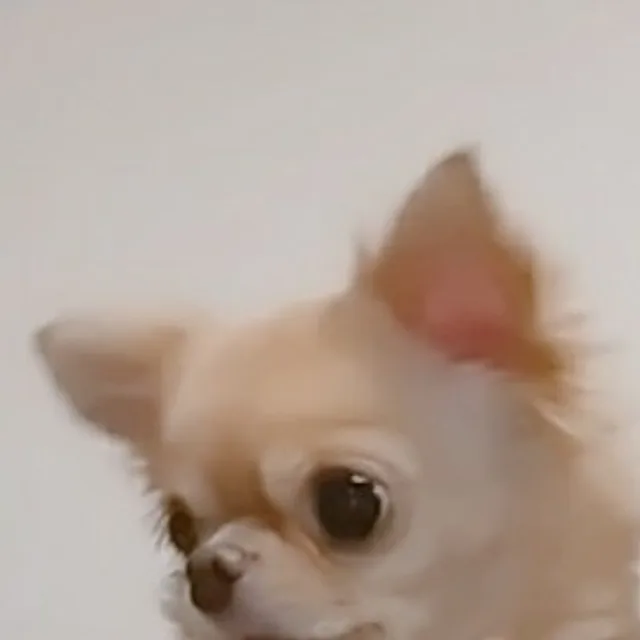 썸머맘