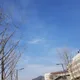 오백구