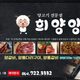 희양양