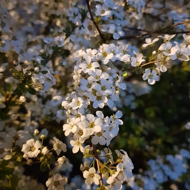 츄르르