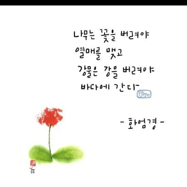 초록당근
