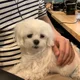 팔아요