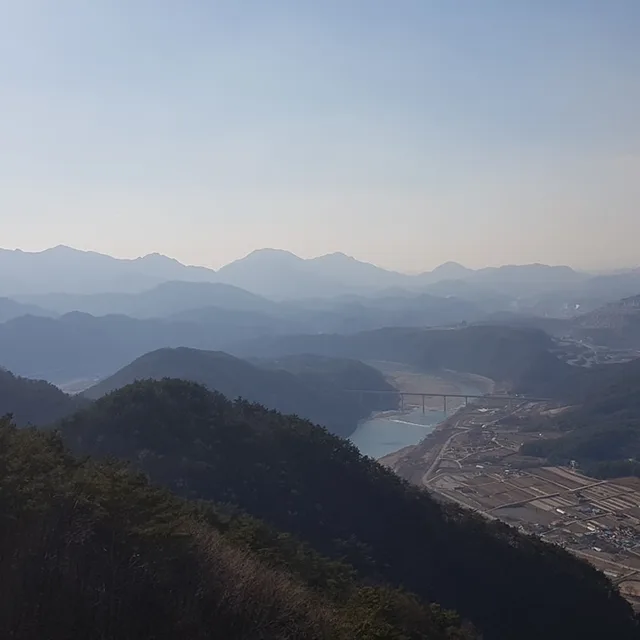 해바라기