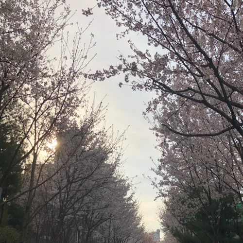 워크홀릭