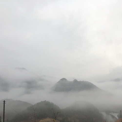 하이