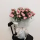 플로리쉬