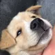진짜누