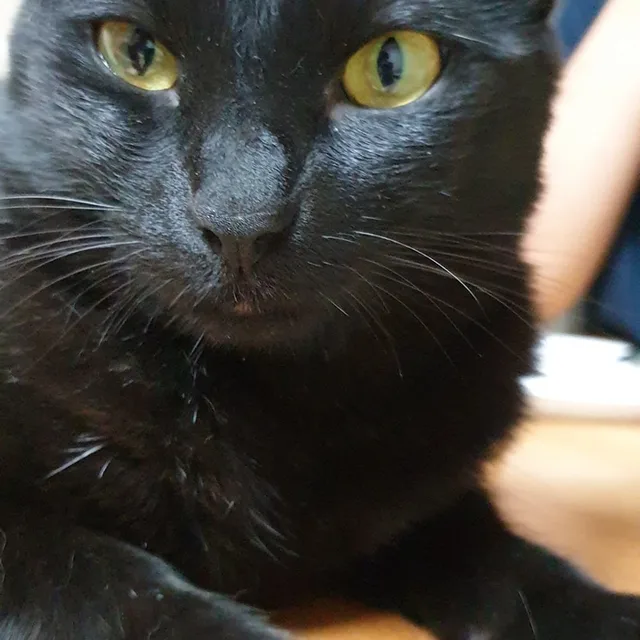 모모엄마