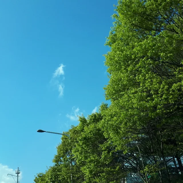 반짝반짝