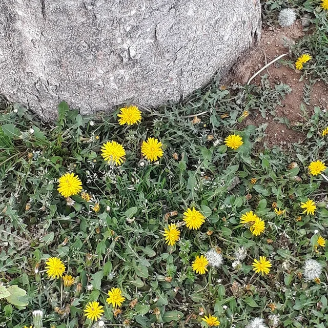 뀨니맘