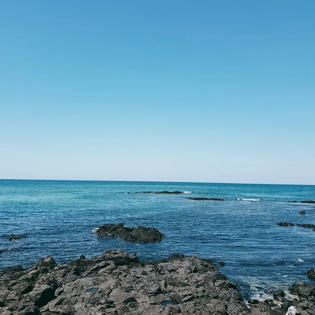 로로