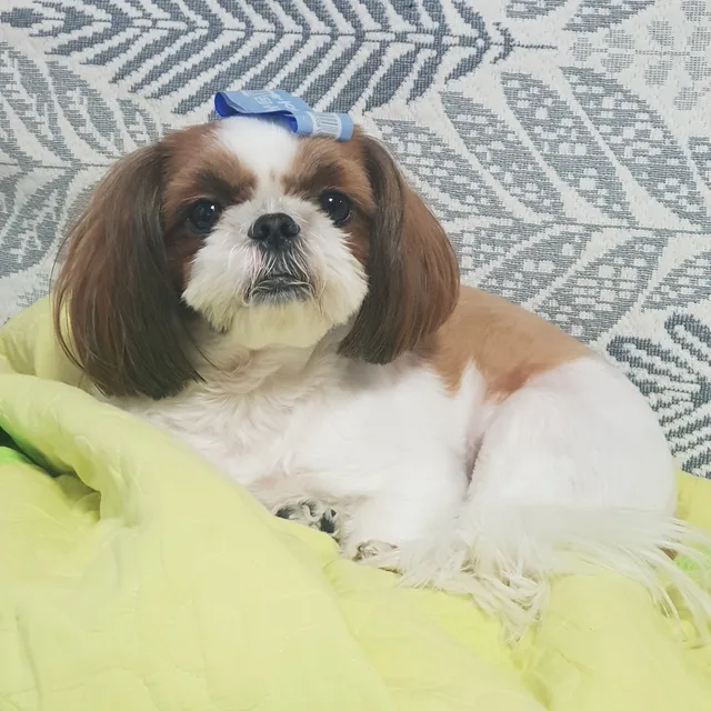 라라랜드