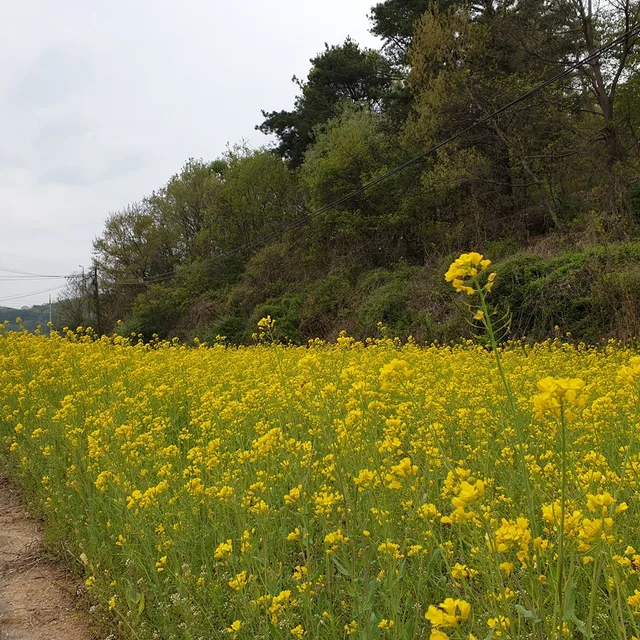 안산22