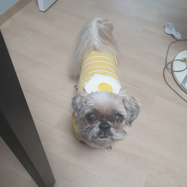 대박이애비