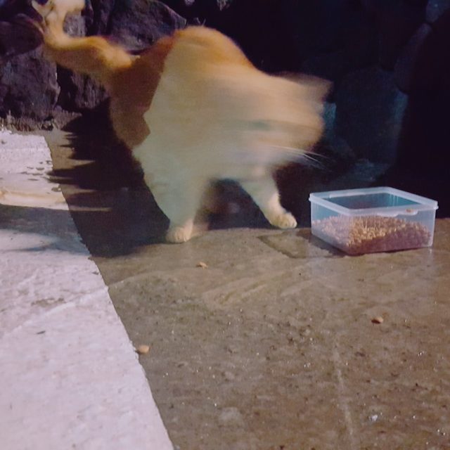 리뷰 프로필 이미지
