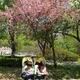날아라나비