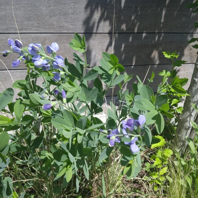 토요일