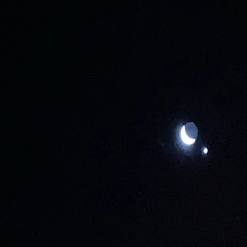 참자