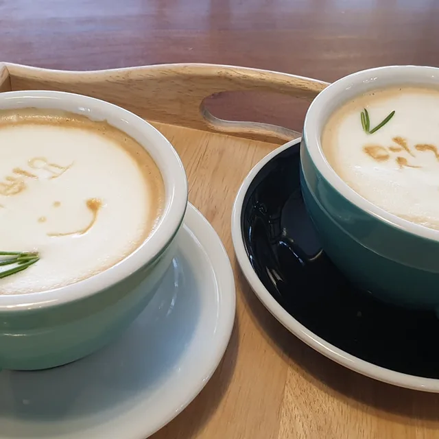 히비스커스