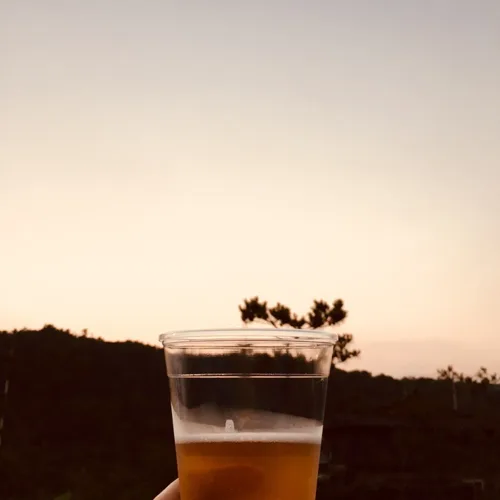 뽀송