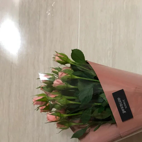 켈리봉봉