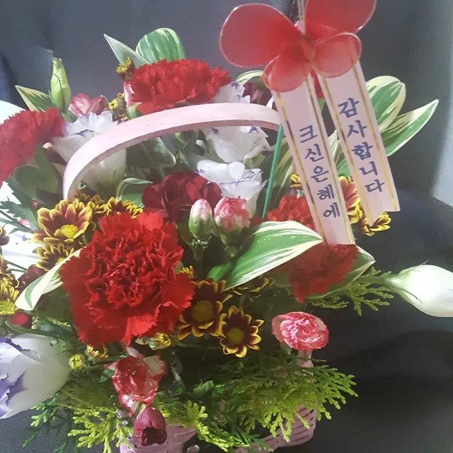 하마