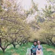 미토콘드리아