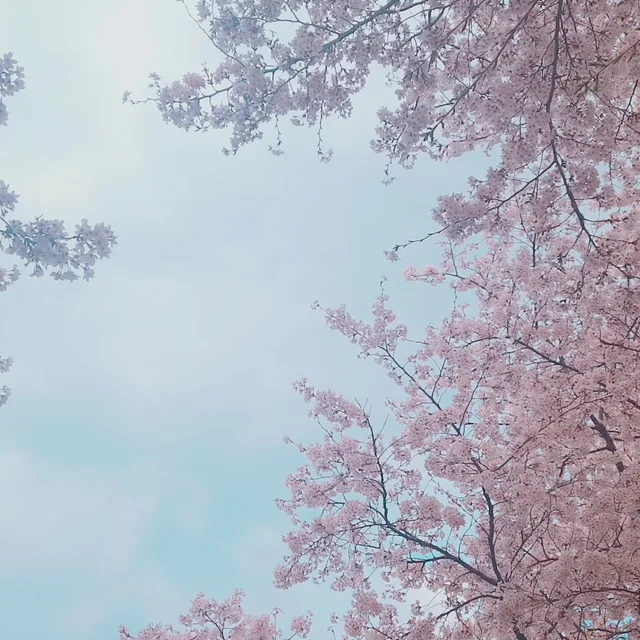 달콩달콩