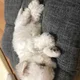 이름을못정햇