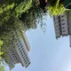 알콩달콩쿠키
