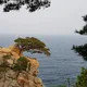 거두촌