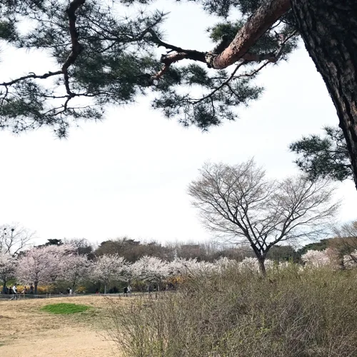 하틀러