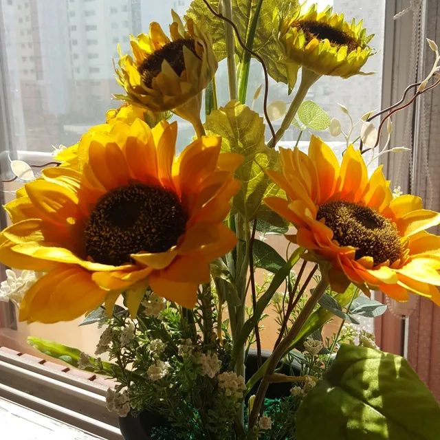 dj얼짱2361