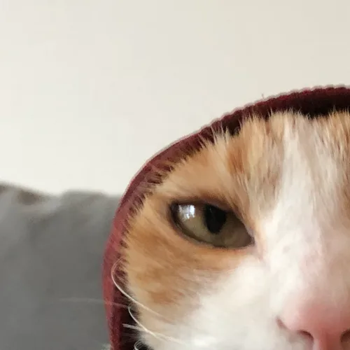 눈눈