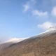 강렬이