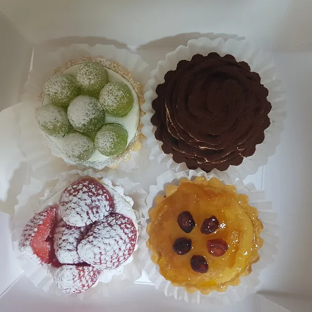 코알라