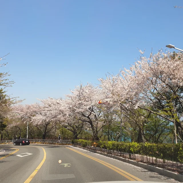 쌩콩