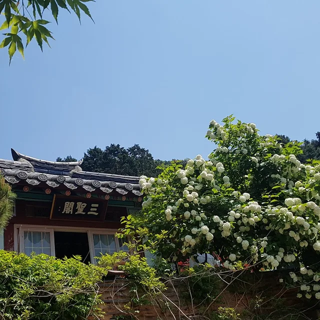 럭키