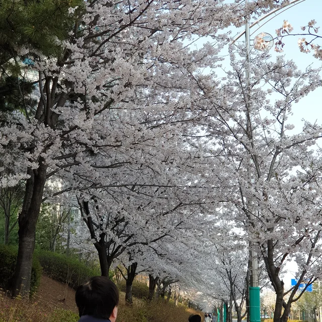 삼쉭쉭