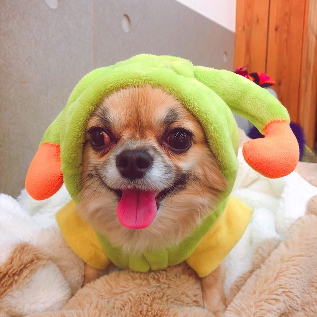 리뷰 프로필 이미지