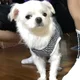 꼬마짱짱