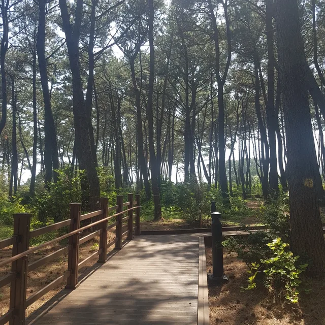 부자됨