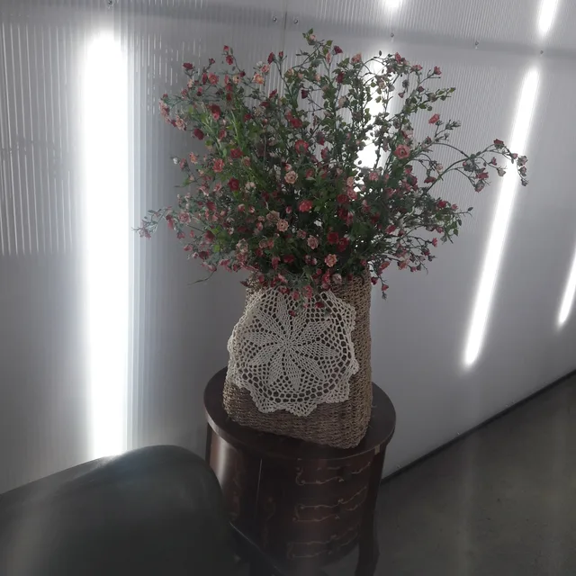 솔방울