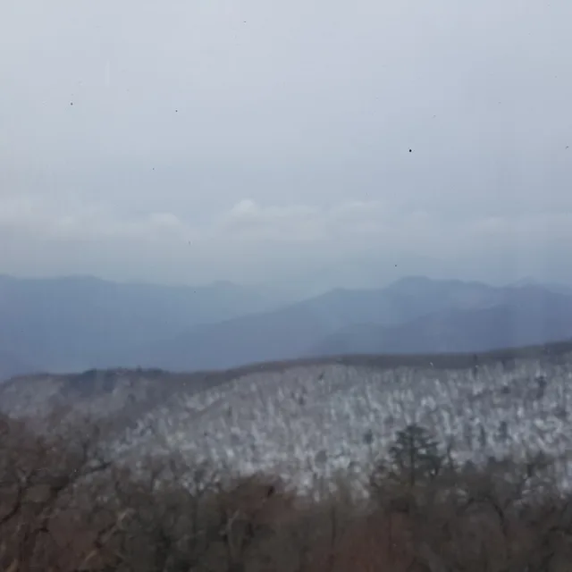 새벽